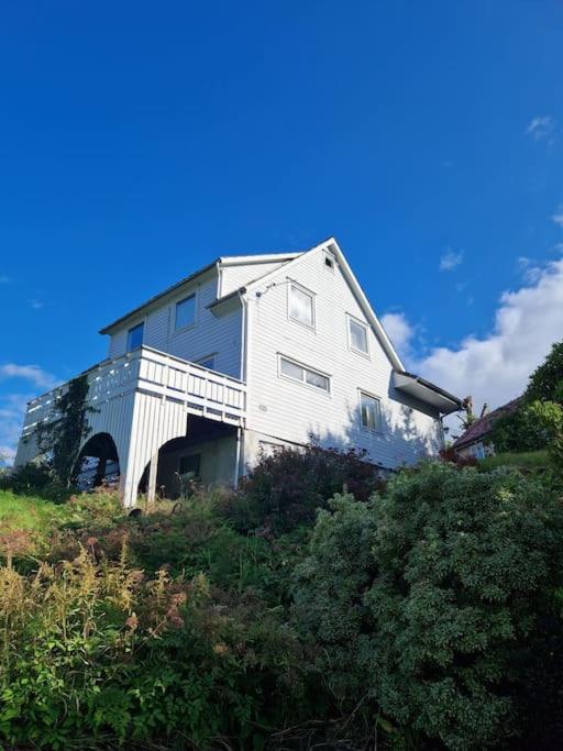 Madsgard Villa Etnesjoen Exteriör bild