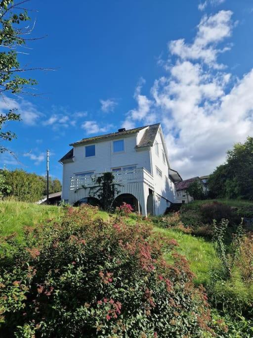 Madsgard Villa Etnesjoen Exteriör bild